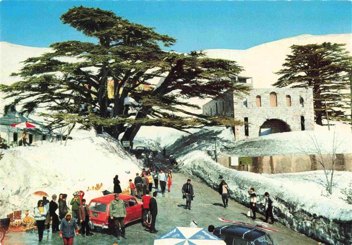 Lebanon The Cedars in winter