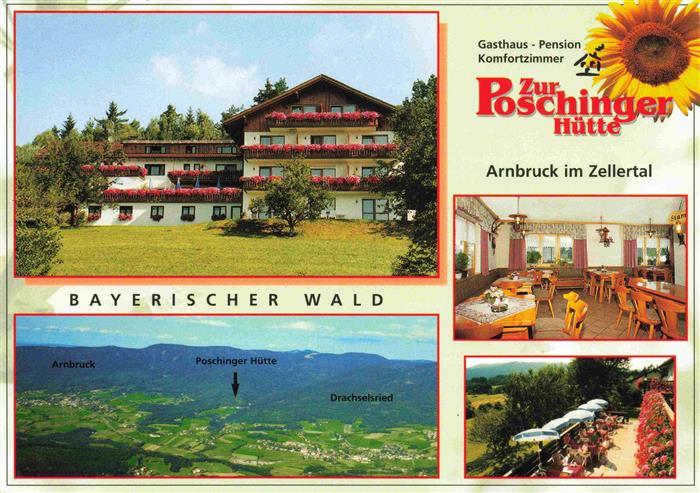 Arnbruck REGEN Bayern Gasthaus Pension Zur Roeschinger Huette Gastraum Terrasse
