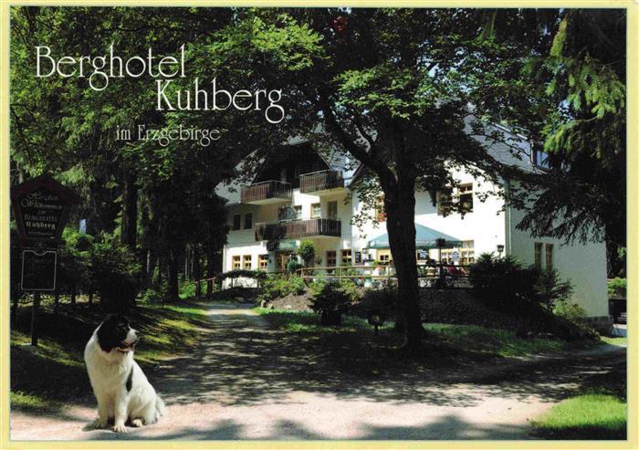 Stuetzengruen Berghotel Kuhberg