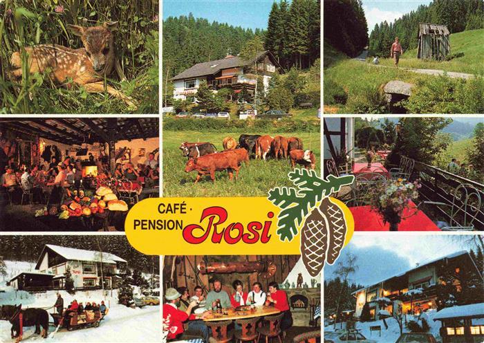 Poppeltal Pension Cafe Rosi Gastraeume Terrasse Rehkitz Waldweg Pferdeschlitten