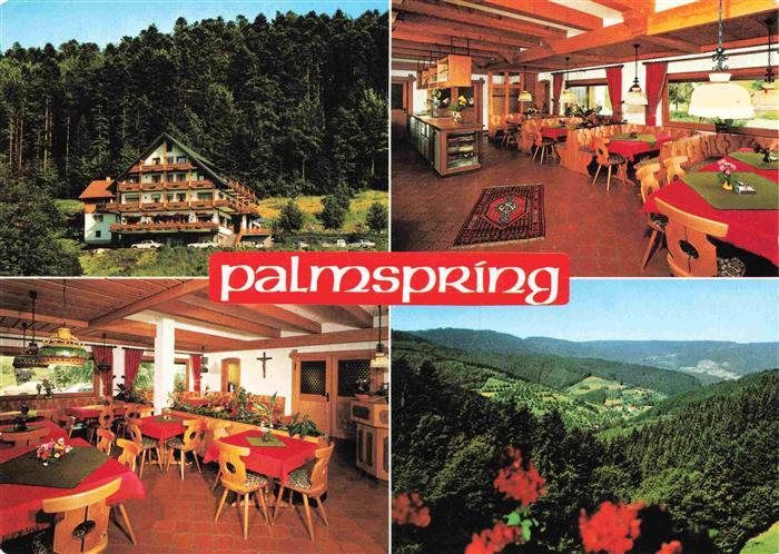 Bad Peterstal-Griesbach Waldhotel Palmspring Gastraeume Panorama