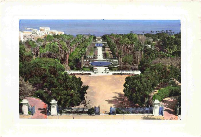 ALGER Algerie Vue d'ensemble du Jardin d'Essai