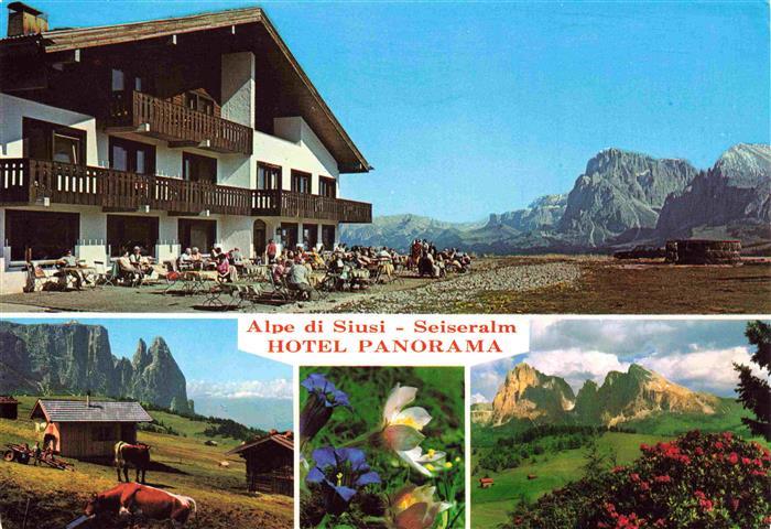 Seiseralm  Seiseralpe Alpe di Siusi Trentino IT Hotel Panorama Sonnenterrasse La