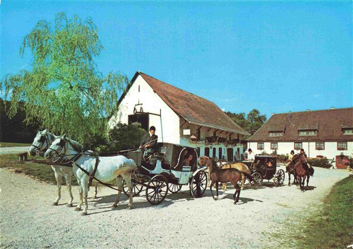 Eigeltingen BW Hotel Restaurant Café Zur Lochmuehle Pferdekutsche