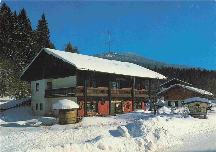 Zwieselerwaldhaus Gasthaus Pension Baernloch Winterlandschaft