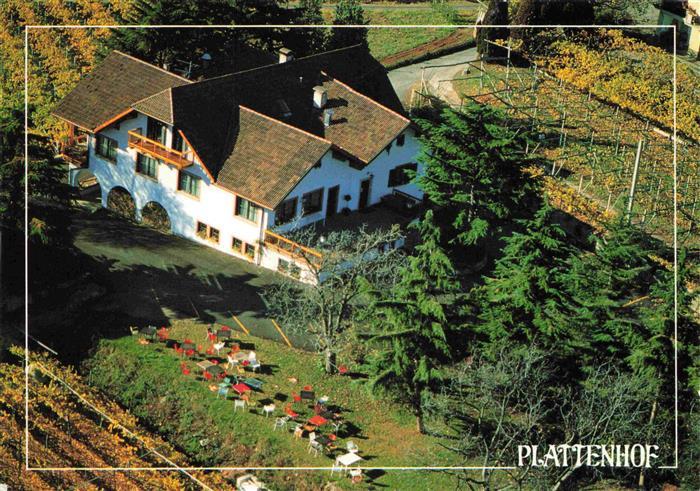 Soell Tramin Weinstrasse Suedtirol IT Gasthof Plattenhof