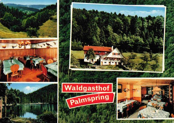 Bad Peterstal-Griesbach Waldgasthof Pension Palmspring Landschaftspanorama See
