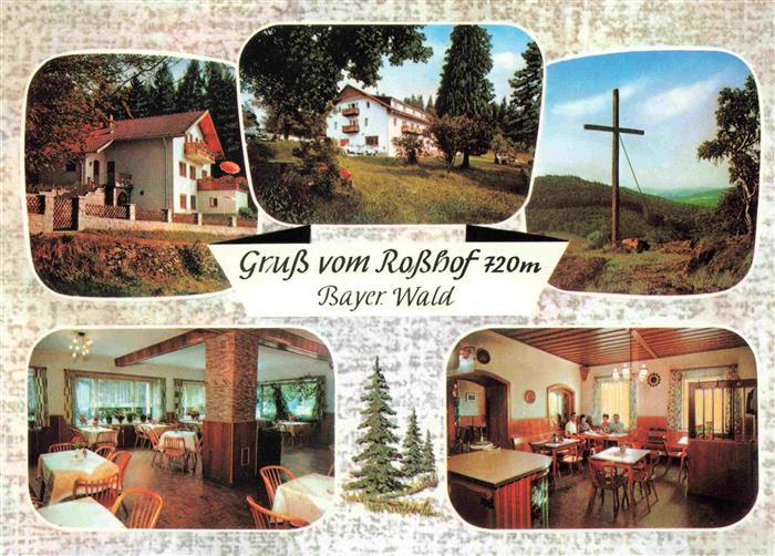 Geigant Waldmuenchen Cham Bayern Hotel Pension Café Rosshof Restaurant Gipfelkre