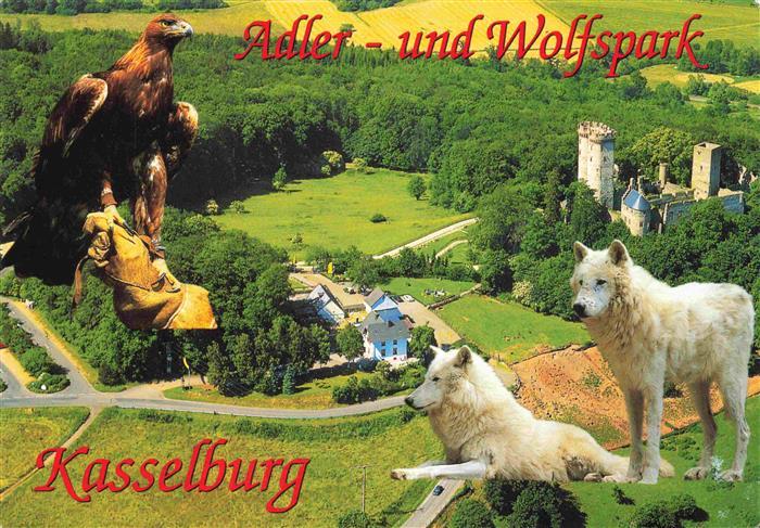 Pelm Adler- und Wolfspark Kasselburg Luftaufnahme Adler Woelfe