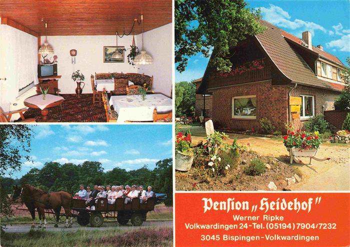 Volkwardingen Pension Heidehof Pferdewagen