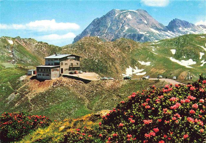 Penserjoch Passo di Pennes Alpenrosenhof Berggasthof Gebirgspanorama Alpenflora