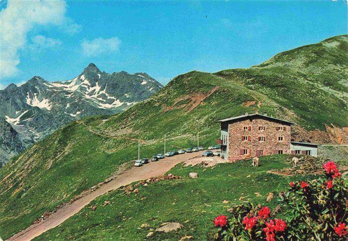 Penserjoch Passo di Pennes Alpenrosenhof Berggasthof Gebirgspanorama Alpenflora