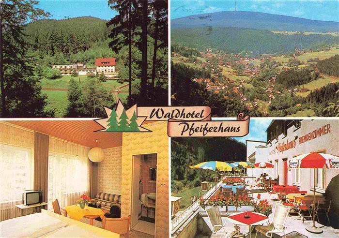 Warmensteinach Fichtelgebirge Bayern Waldhotel Pfeiferhaus Fremdenzimmer Terrass