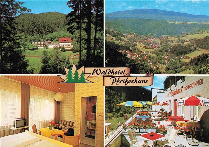 Warmensteinach Fichtelgebirge Bayern Waldhotel Pfeiferhaus Fremdenzimmer Terrass