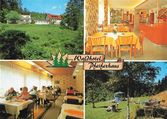 Warmensteinach Fichtelgebirge Bayern Waldhotel Pfeiferhaus Gastraum Liegewiese