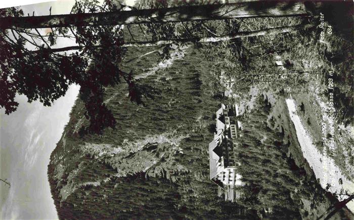 Reutte Tirol AT Hotel Ammerwald mit Hochblaesse