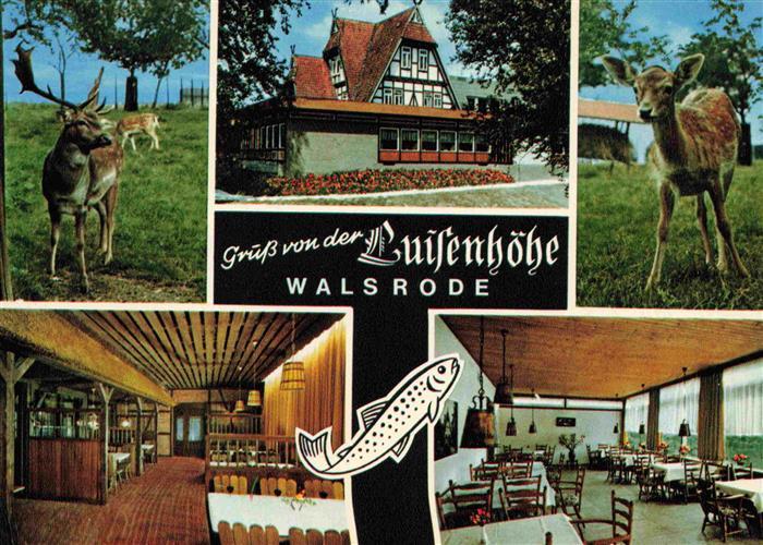 Walsrode Lueneburger Heide Restaurant Luisenhoehe Gastraeume Rehwild
