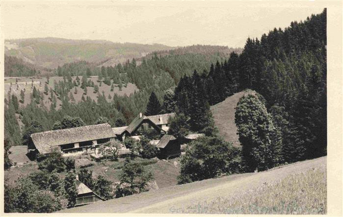 Krieglach Muerzzuschlag Steiermark AT Panorama