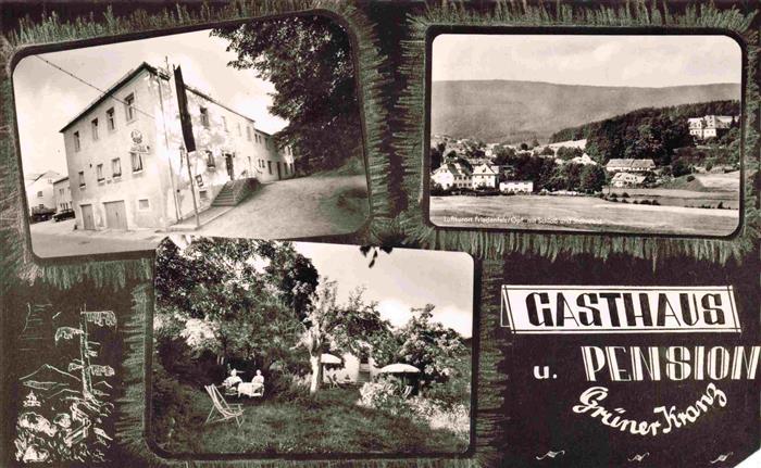Friedenfels Oberpfalz Bayern Gasthaus Pension Gruener Krug Garten