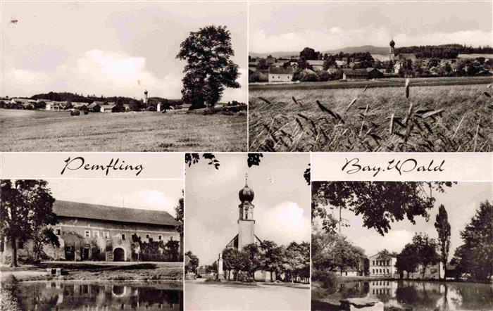 Pemfling Cham Bayern Panorama Teich Kirche
