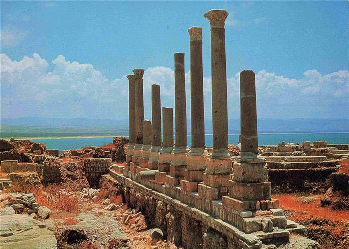 Lebanon Tyre Roman Pillars