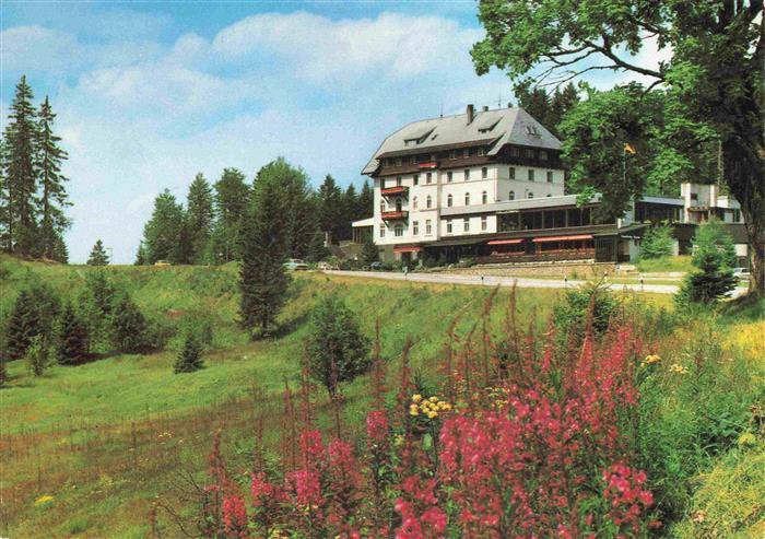 Notschrei Todtnau Waldhotel am Notschrei