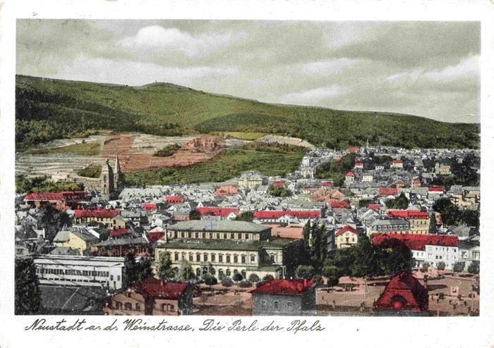 NEUSTADT HAARDT Weinstrasse Panorama