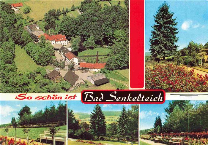 Bad Senkelteich Fliegeraufnahme Park Kurklinik