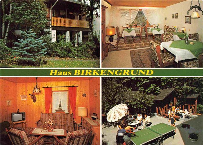 Sundern Sauerland Haus Birkengrund Gastraeume Terrasse