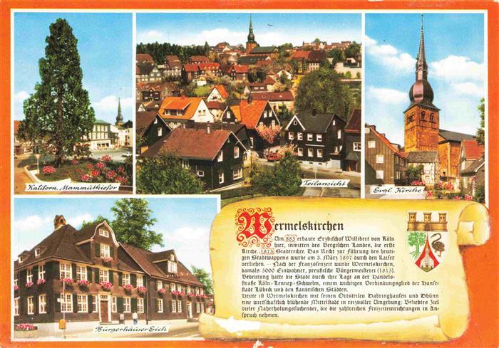 Wermelskirchen Kalifornische Mammutskiefer Teilansicht Ev Kirche Buergerhaeuser