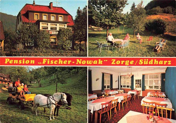 Zorge Harz Pension Fischer Nowak Garten Ponykutsche Gastraum
