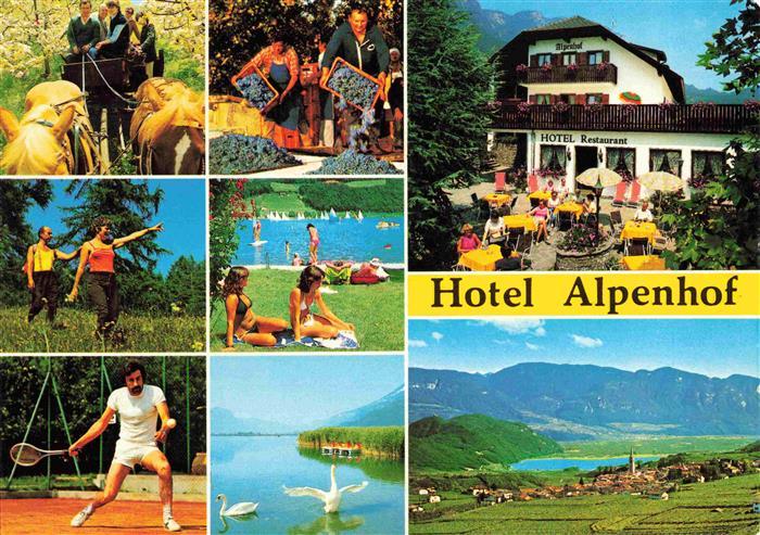 Kaltern Caldaro Suedtirol IT Hotel Alpenhof Restaurant Terrasse Pferdekutsche Te