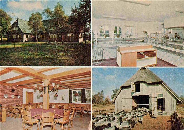 Schneverdingen Pension Gasthof Schaeferhof Gastraum Kueche Schafstall