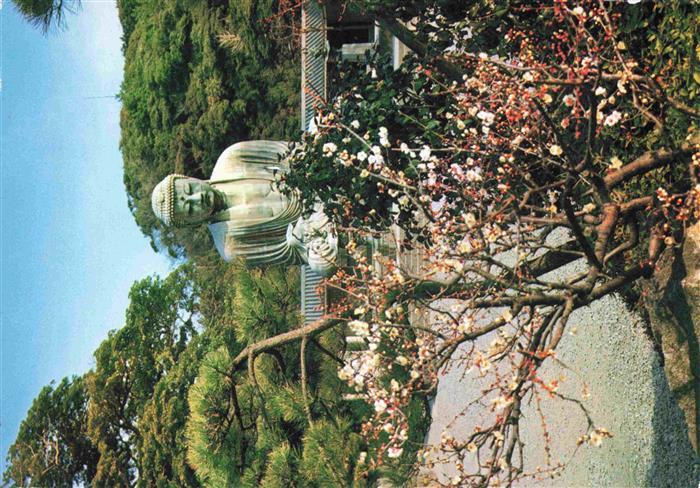 Kyoto Kioto Japan Blum blossoms with the Great Buddha