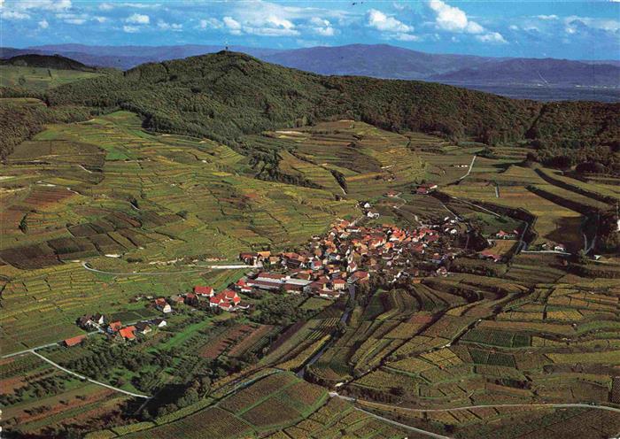 Bickensohl Vogtsburg Kaiserstuhl Fliegeraufnahme