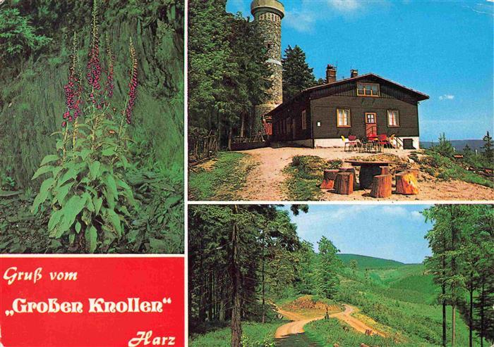 Herzberg Harz Berggaststaette Grosser Knollen Panorama