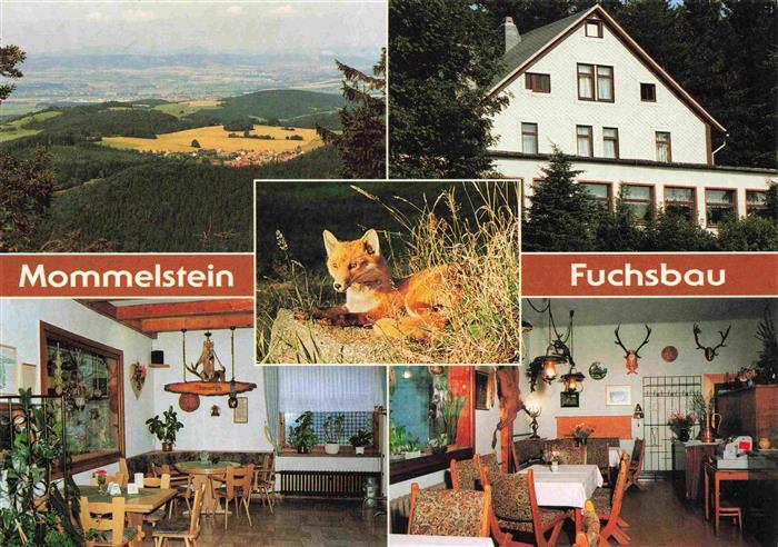 Brotterode Mommelstein Berggasthaus Zum Fuchsbau Gastraeume