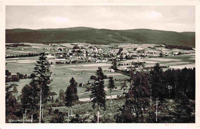Waldmuenchen Cham Bayern Panorama