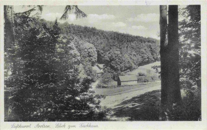 Arolsen Bad Blick zum Fischhaus