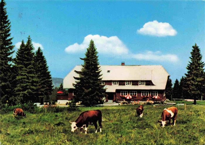 Stuebenwasen Todtnauberg Berggasthaus Stuebenwasen