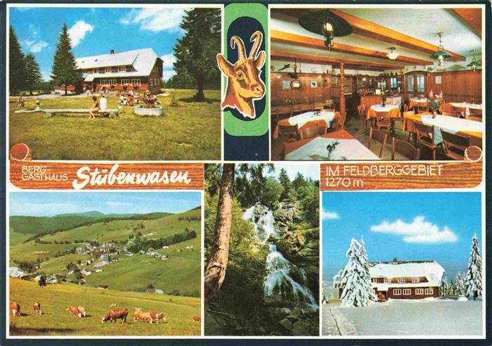 Todtnauberg Schwarzwald BW Berggasthaus Stuebenwasen Gastraum Panorama Wasserfa
