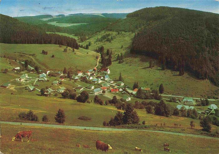 Muggenbrunn Panorama