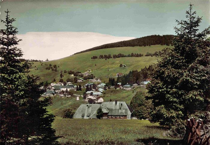 Todtnauberg Schwarzwald BW Panorama