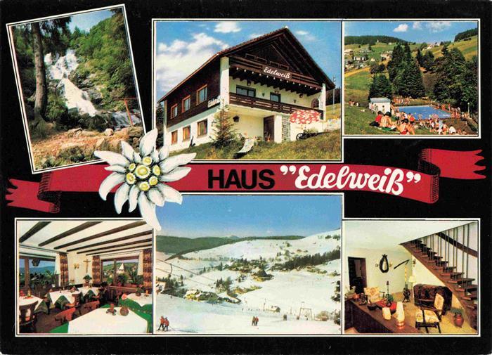 Todtnauberg Schwarzwald BW Haus Edelweiss Gastraeume Wasserfall Schwimmbad Pano