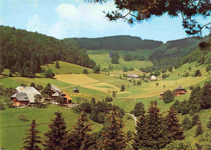 Rollsbach Cafe Pension Auerhahn Panorama