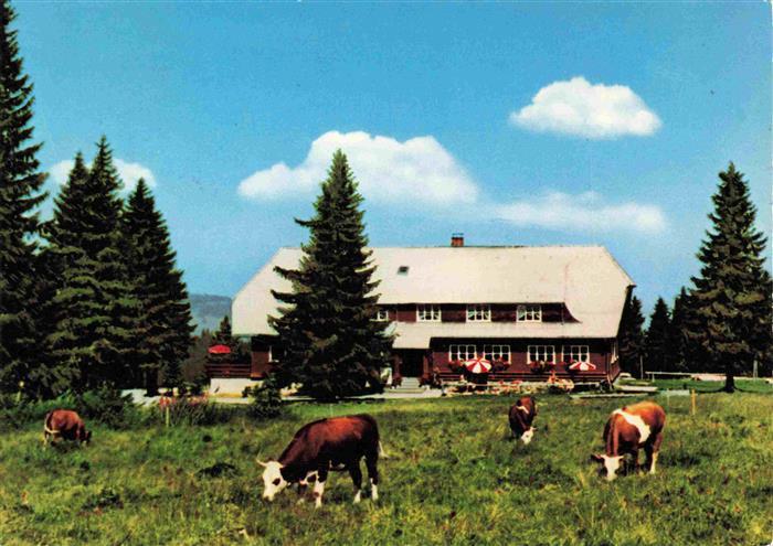 Stuebenwasen Todtnauberg Berggasthaus Stuebenwasen