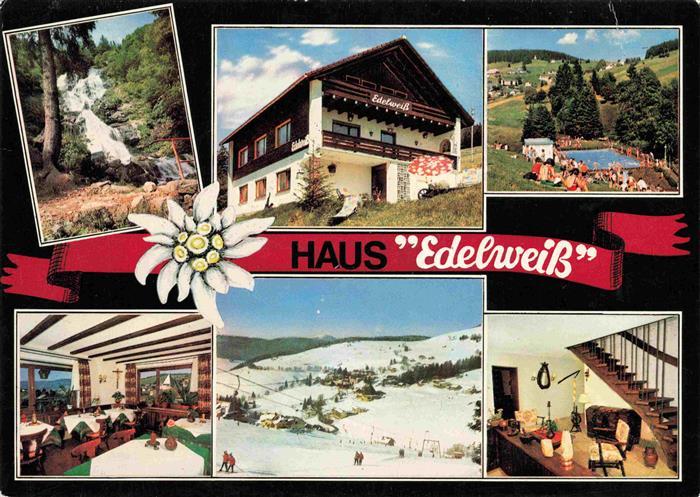Todtnauberg Schwarzwald BW Wasserfall Haus Edelweiss Freibad Gastraeume Panoram
