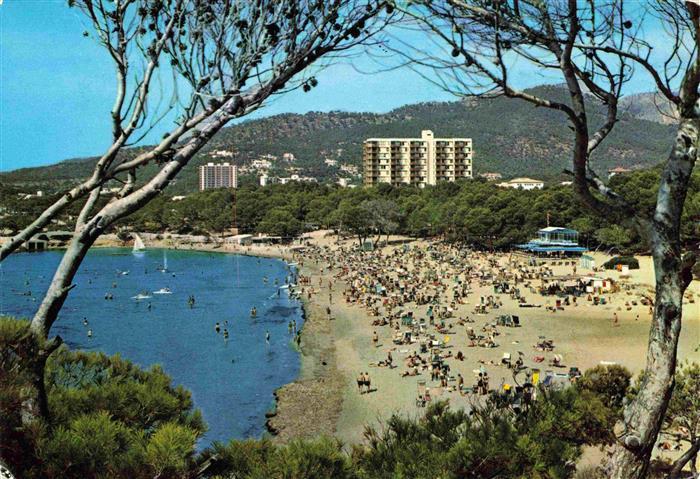 Paguera Peguera Calvia Mallorca ES Playa de Tora