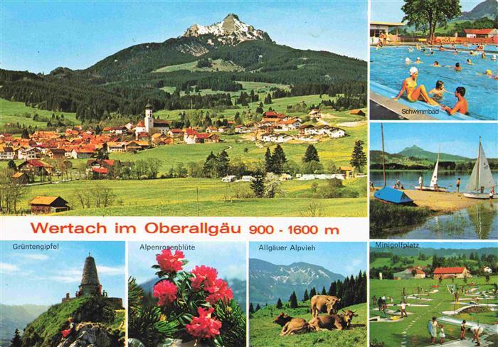 Wertach Bayern Panorama Gruentengipfel Alpenrosenbluete Allgaeuer Alpvieh Schwim