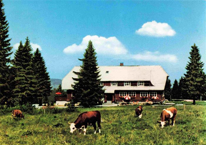 Stuebenwasen Todtnauberg Berggasthaus Stuebenwasen